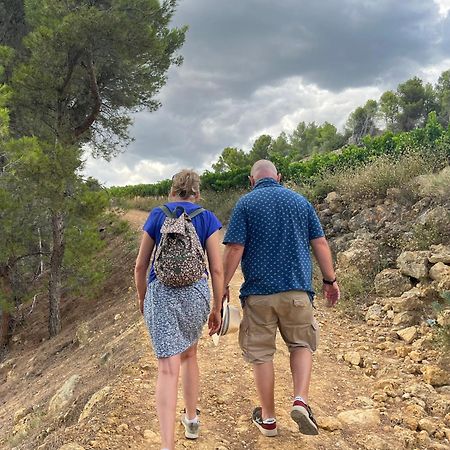 Les Volets Lavande Aubignan Dış mekan fotoğraf