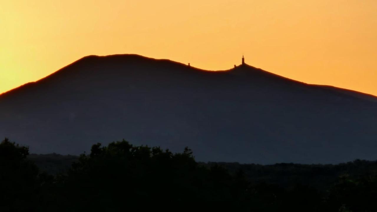 Les Volets Lavande Aubignan Dış mekan fotoğraf